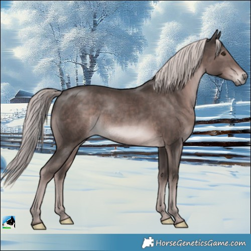 Horse Color:Platinum White Spotted Liver Chestnut Rabicano 