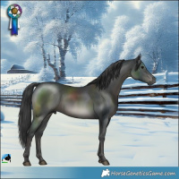 Horse Color:Black Mushroom Rabicano