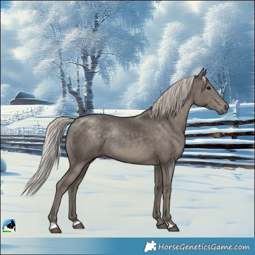 Horse Color:Silver Black Mushroom Rabicano 