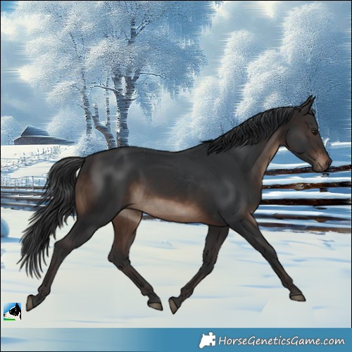Horse Color:Brown Mushroom Rabicano
