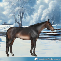Horse Color:Brown Mushroom