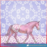 Horse Color:Watercolor Smoky Black Merle Splash Tobiano Appaloosa 