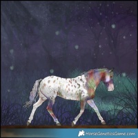 Horse Color:Nacre Silver Brown Onyx Merle Sabino Appaloosa 