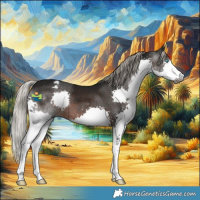 Horse Color:Gray Silver Brown Splash Varnish