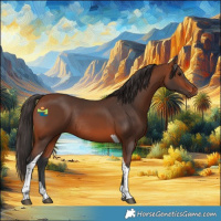 Horse Color:Bay Tobiano Rabicano 