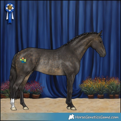 Horse Color:Buckskin Rabicano 