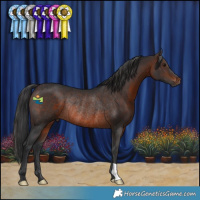 Horse Color:Brown Rabicano
