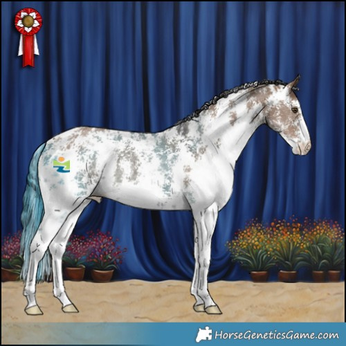 Horse Color:Liver Red Dun Sabino Rabicano 