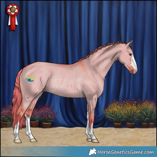 Horse Color:Watercolor Liver Red Dun Rabicano