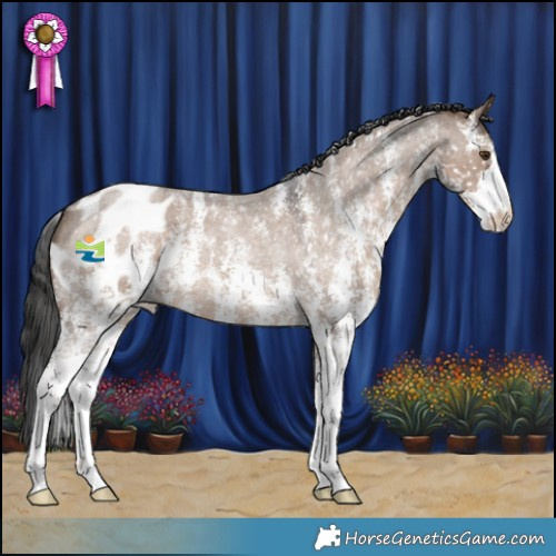 Horse Color:Liver Red Dun Roan Sabino Appaloosa 