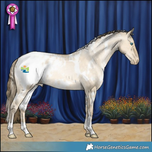 Horse Color:White Spotted Buckskin Pearl Dun Appaloosa 