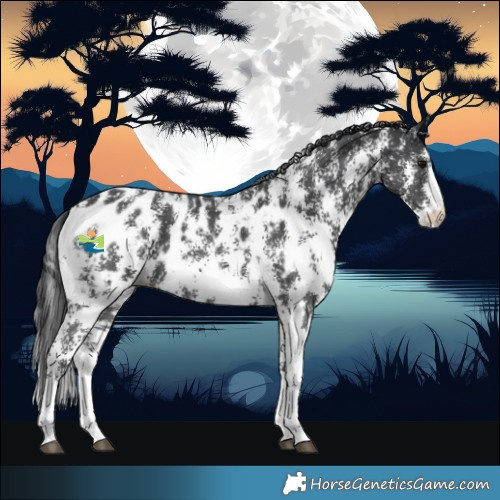 Horse Color:Black Sabino Blanket 