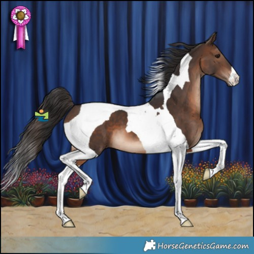 Horse Color:Brown Tobiano 
