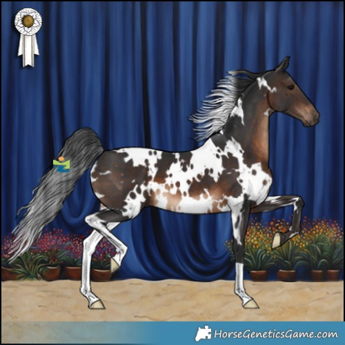 Horse Color:White Spotted Brown 