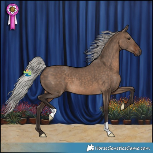 Horse Color:Silver Brown Dun