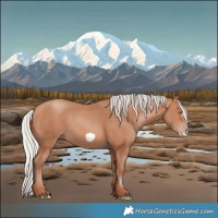 Horse Color:Silver Sable Champagne Frame 