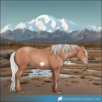 Horse Color:Silver Sable Champagne Frame