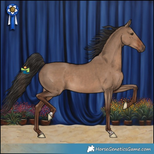Horse Color:Liver Red Dun 