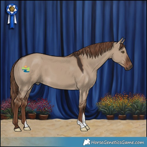 Horse Color:Liver Red Dun