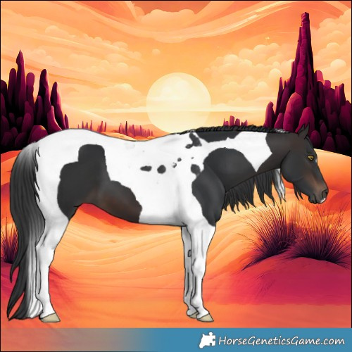 Horse Color:Brown Tobiano 