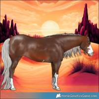 Horse Color:Silver Bay