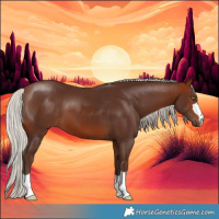 Horse Color:Silver Brown 