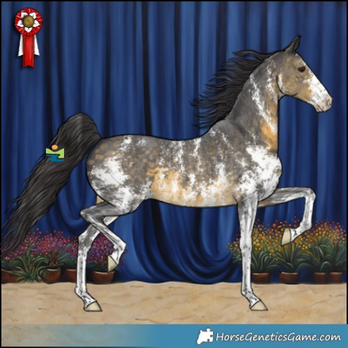 Horse Color:Buckskin Sabino 