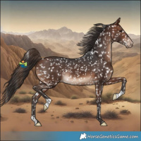 Horse Color:Brown Snowflake Varnish