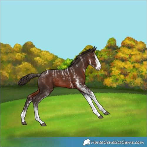 Horse Color:Powder White White Spotted Liver Chestnut