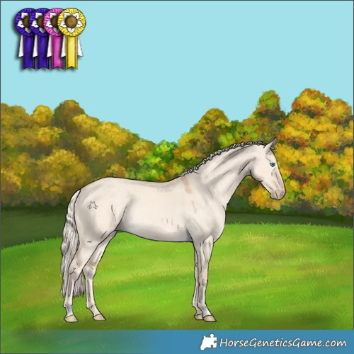Horse Color:Cremello Dun Rabicano 