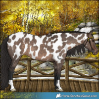 Horse Color:Brown Dun Mushroom Near Leopard