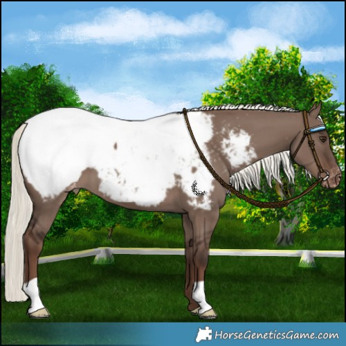 Horse Color:Liver Red Dun Mushroom Snowcap 