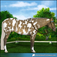 Horse Color:Silver Buckskin Dun Mushroom Blanket