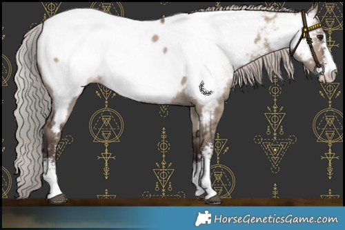 Horse Color:Silver Brown Dun Sabino Near Fewspot 