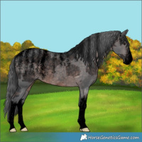 Horse Color:Powder White Void Platinum White Spotted Brown Merle Rabicano 