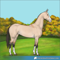 Horse Color:Bay Dun