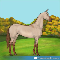 Horse Color:Red Dun 