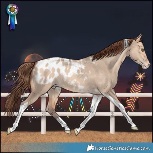 Horse Color:Amber Champagne Dun Tobiano Blanket 