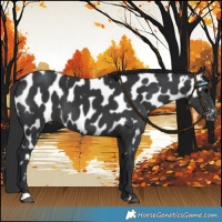Horse Color:Black Mushroom Near Leopard 