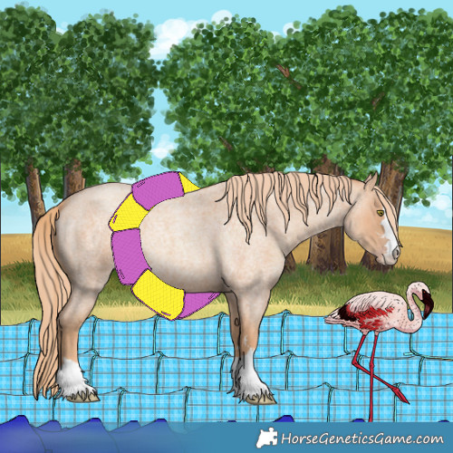 Horse Color:Gold Champagne Roan 