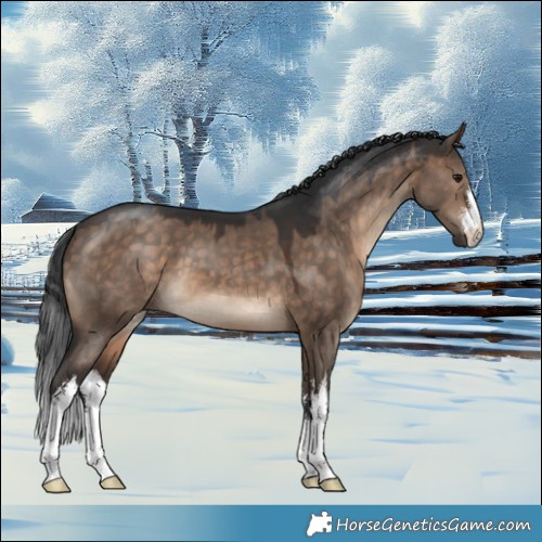 Horse Color:White Spotted Brown Dun 