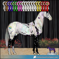 Horse Color:Nacre White Spotted Brown Ice Dun Splash