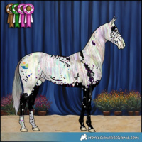 Horse Color:Nacre White Spotted Brown Ice Dun Splash