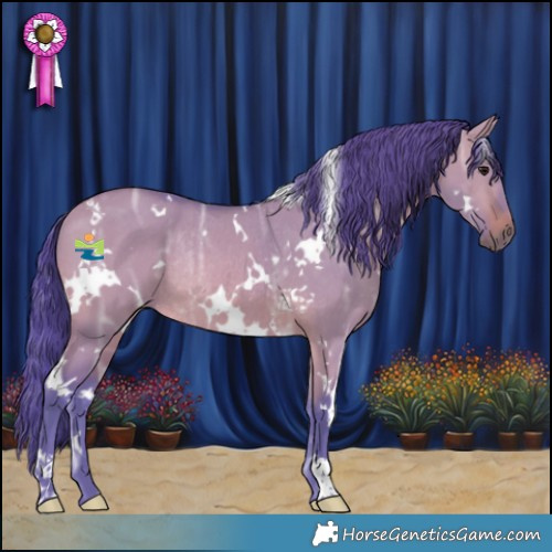Horse Color:Watercolor White Spotted Brown Ice Dun Rabicano