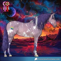 Horse Color:Watercolor White Spotted Brown Ice Dun Rabicano