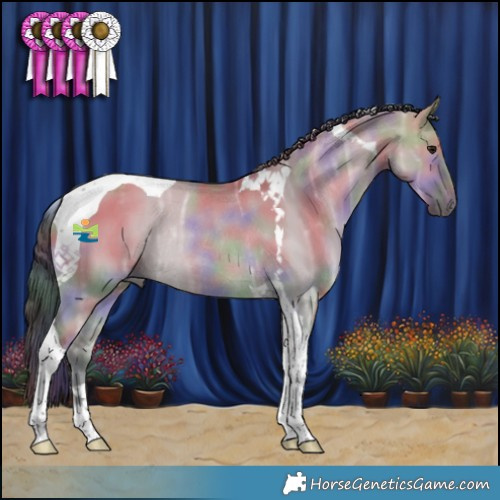 Horse Color:Nacre Brown Ice Dun Tobiano Rabicano