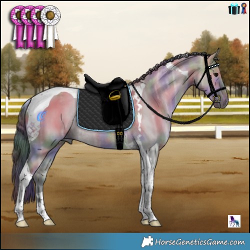 Horse Color:Nacre Brown Ice Dun Tobiano Rabicano 