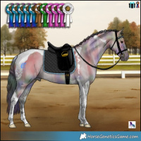 Horse Color:Nacre Brown Ice Dun Tobiano Rabicano 