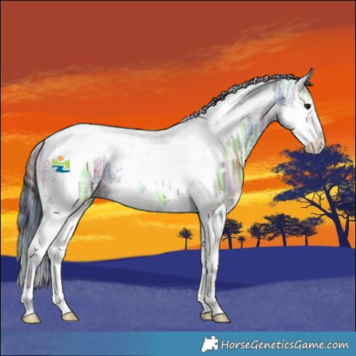 Horse Color:Nacre White Spotted Brown Ice Dun Splash Tobiano 
