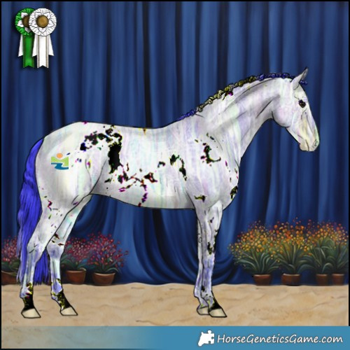 Horse Color:Watercolor White Spotted Bay Ice Roan Dun 